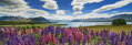 HEYE Panoramatické puzzle Jezero Tekapo, Nový Zéland 1000 dílků