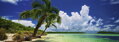 HEYE Panoramatické puzzle Palmový ráj 2000 dílků