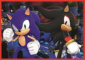 TREFL Puzzle Sonic: Dobrodružná jízda 4v1 (35,48,54,70 dílků)