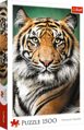 TREFL Puzzle Tygří portrét 1500 dílků