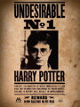 SD TOYS MERCHANDISING Puzzle Harry Potter: Nežádoucí č. 1, 50 dílků