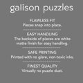 GALISON Metalické puzzle Souhvězdí 101: Pozorování hvězd 500 dílků