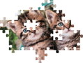 CLEMENTONI Puzzle Koťátka dvojčátka 60 dílků