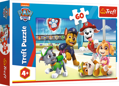 TREFL Puzzle Tlapková patrola: Ve světě štěňat 60 dílků