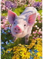 CHERRY PAZZI Puzzle Máš mě rád? 500 dílků