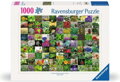 RAVENSBURGER Puzzle 99 bylinek 1000 dílků