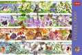 TREFL Puzzle Premium Plus Tea Time: Čtyři roční období 1000 dílků