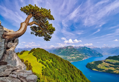 CASTORLAND Puzzle Pohled na jezero Uri, Švýcarsko 1000 dílků