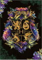 DODO Puzzle Harry Potter: Vynikající šance 1000 dílků