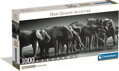 CLEMENTONI Panoramatické puzzle Stádo obrů 1000 dílků