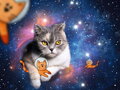 RAVENSBURGER Puzzle Kočka ve vesmíru 1500 dílků