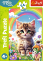 Puzzle Treflíci: Kotě 54 dílků