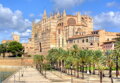 BLUEBIRD Puzzle Palma, Mallorca 1000 dílků