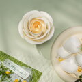 ROBOTIME Rokr Floral Art: 3D puzzle Bílá kamélie 63 dílků