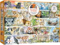 GIBSONS Puzzle Medvědi a lenochodi 1000 dílků