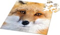 CURIOSI Čtvercové puzzle Q Animal: Liška 66 dílků