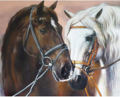 NORIMPEX Diamantové malování Portrét dvou koní 30x40cm
