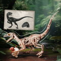 ROBOTIME Rokr 3D dřevěné puzzle Velociraptor 191 dílků