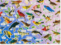GALISON Puzzle Mořští ptáci 1000 dílků