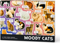 GALISON Puzzle Náladové kočky 1000 dílků