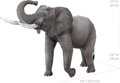 METAL EARTH 3D puzzle Slon africký