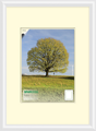 BFHM Plastový rám na puzzle 100x40cm - bílý
