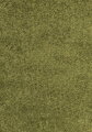 Kusový koberec Dream Shaggy 4000 green