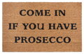 Rohožka Come in if you have prosecco 105660 - na ven i na doma