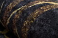 Kusový koberec Miro 51333.801 Marble black / gold