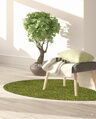 Kusový koberec Life Shaggy 1500 green kruh
