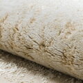 Kusový koberec Allure 1959 cream/beige