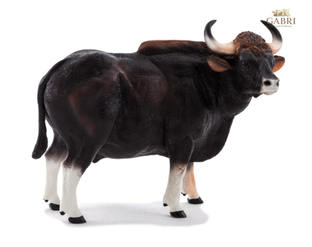 Mojo Gaur býk