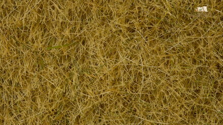 Noch Statická tráva suchá 6 mm