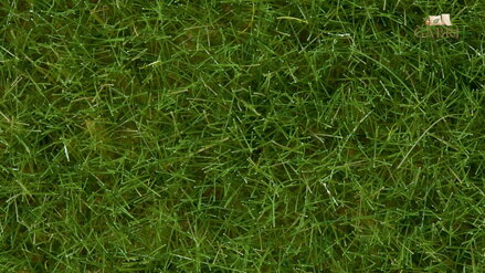 Noch Statická tráva divoká světle zelená 6 mm