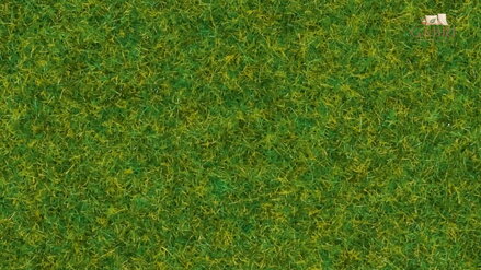 Noch Statická tráva Okrasný trávník 2,5 mm
