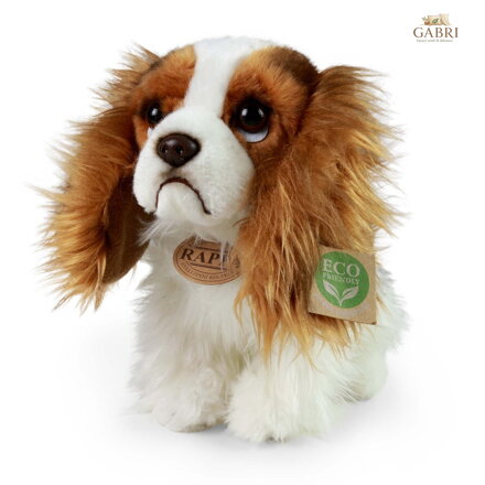 Rappa Plyšový pes King Charles španěl 25 cm