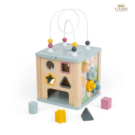 Bigjigs Toys Motorická aktivní kostka s labyrintem