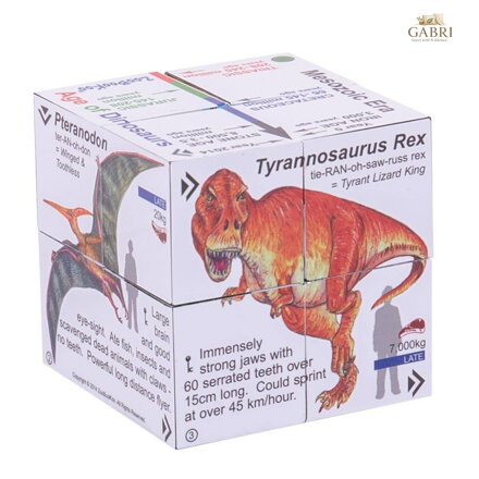 Zoobookoo Kniha v kostce Dinosauři