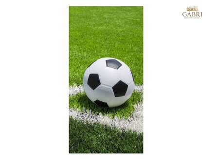 Jerry Fabrics Osuška Fotbal 70x140 cm