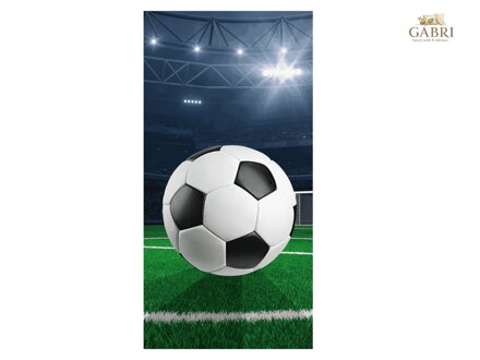 Osuška Fotbalový stadion 70x140 cm