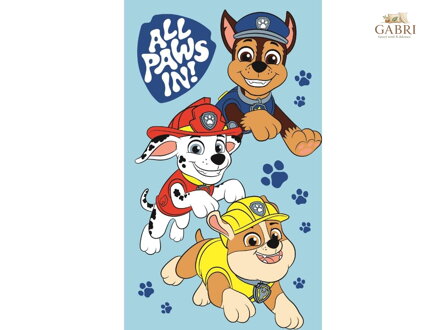 Dětský ručník Paw Patrol Boys 30x50 cm
