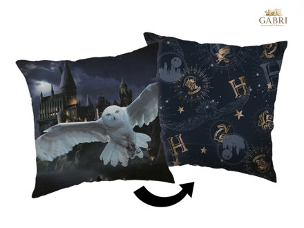 Polštářek Harry Potter Hogwarts 01 40x40 cm