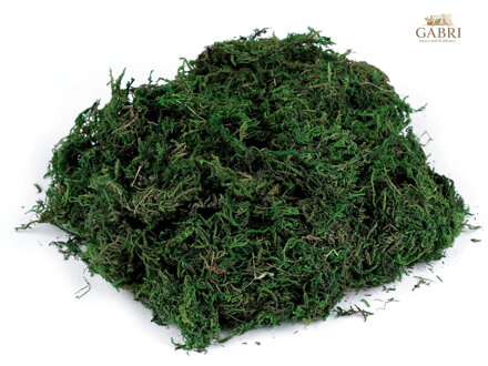 Dekorační mech 50 g