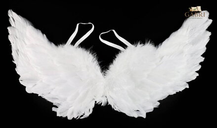 KARNEVAL Křídla andělská s peřím 50cm *KARNEVALOVÝ DOPLNĚK*