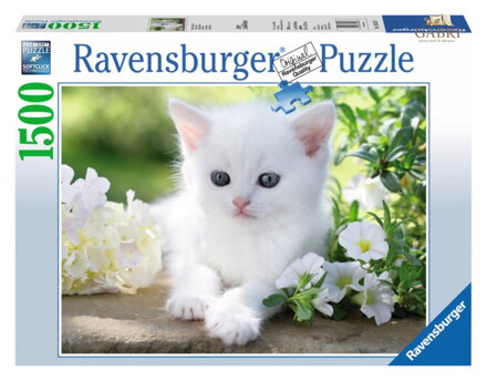 RAVENSBURGER Puzzle Bílé kotě 1500 dílků