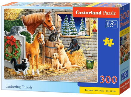 CASTORLAND Puzzle Setkání přátel ve stáji 300 dílků