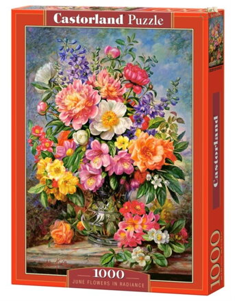 CASTORLAND Puzzle Červnové květiny 1000 dílků