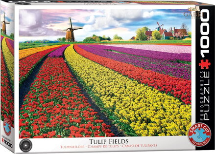 EUROGRAPHICS Puzzle Pole tulipánů 1000 dílků