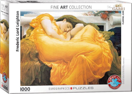 EUROGRAPHICS Puzzle Planoucí červen 1000 dílků