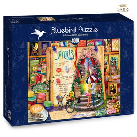 BLUEBIRD Puzzle Život jako otevřená kniha: Paříž 4000 dílků